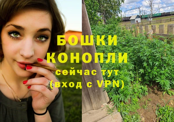 мескалин Богданович
