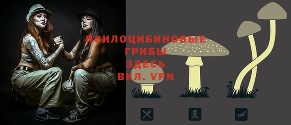 мескалин Богданович