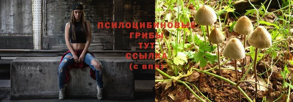 СК Бугульма