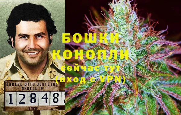 каннабис Богородицк