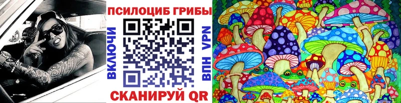 Псилоцибиновые грибы ЛСД  блэк спрут сайт  Дальнегорск 